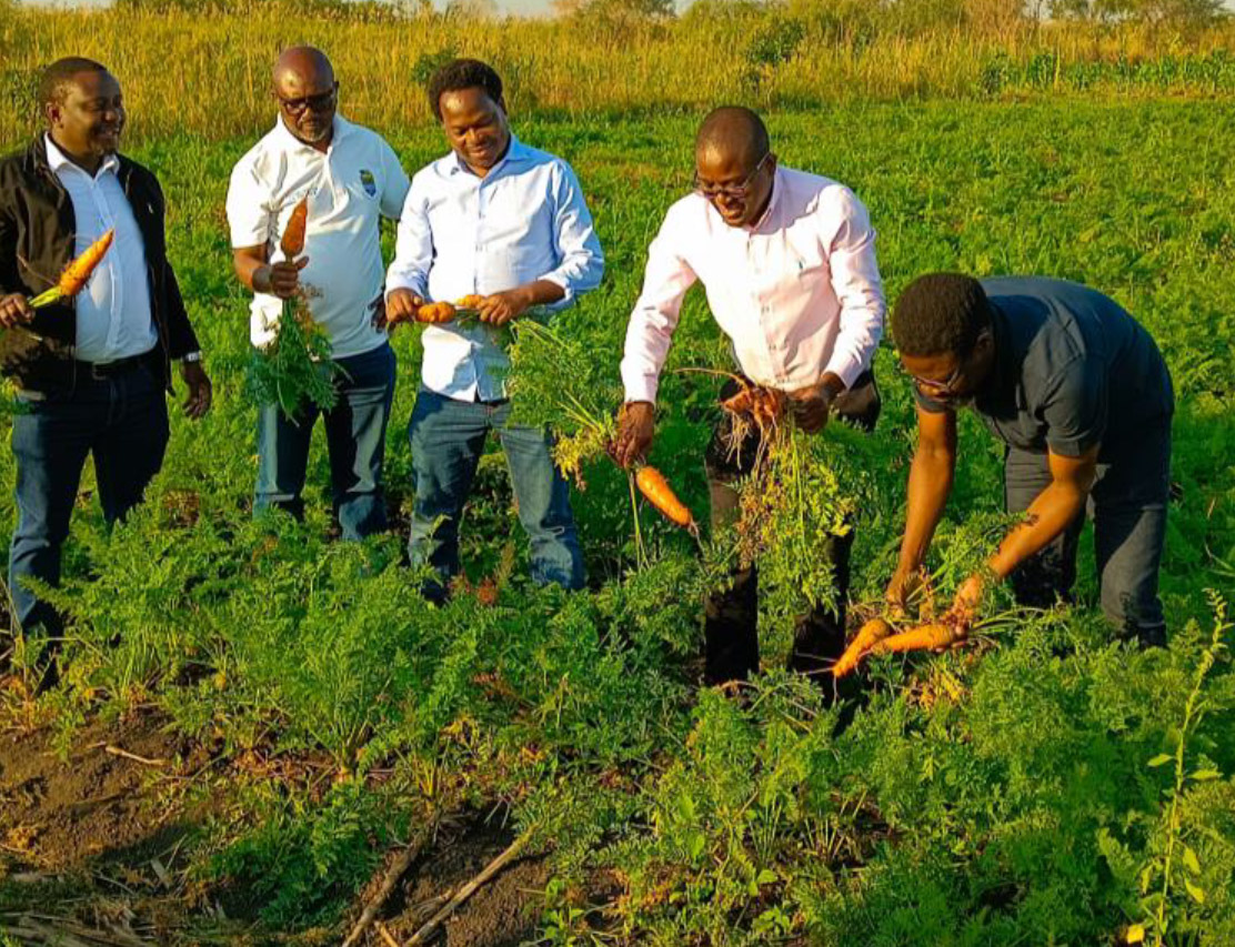 Relatório Técnico da Visita do Reitor da Universidade do Malawi ao Centro de Pesquisa, Treinamento em Energias Renováveis e Produção Sustentável de Alimentos da Universidade Pedagógica de Maputo