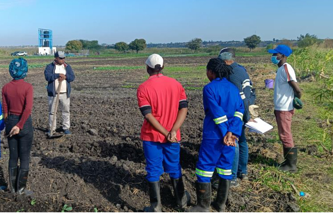 Relatório Técnico da Visita dos Docentes da UEM ao Centro de Pesquisa, Treinamento em Energias Renováveis e Produção Sustentável de Alimentos da Universidade Pedagógica de Maputo
