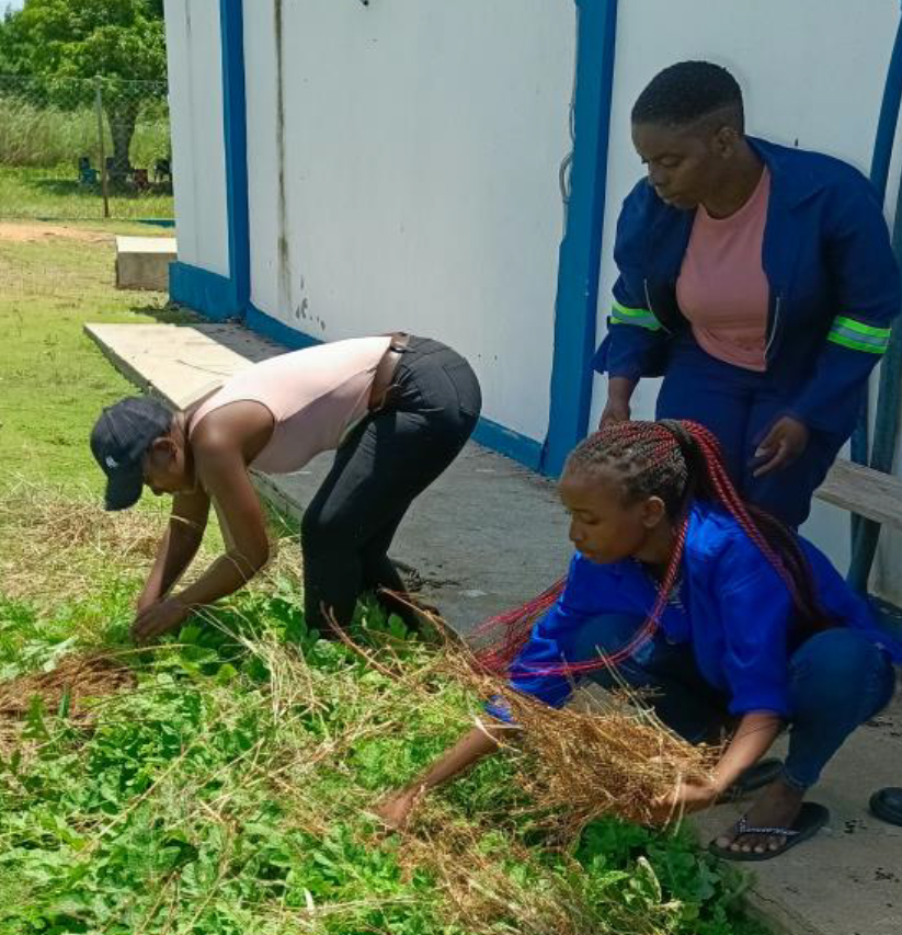 Relatório Técnico da Visita dos estudantes do curso de Agropecuária ao Centro de Pesquisa, Treinamento em Energias Renováveis e Produção Sustentável de Alimentos da Universidade Pedagógica de Maputo