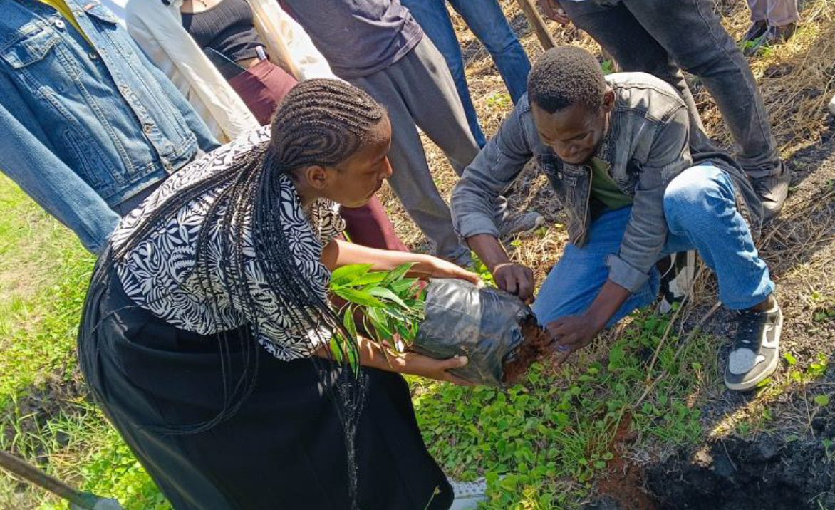 Relatório Técnico do Lançamento do Projecto Nós Jovens Produzindo Alimentos para o Bem Estar das Comunidades no Centro de Pesquisa, Treinamento em Energias Renováveis e Produção Sustentável de Alimentos da Universidade Pedagógica de Maputo